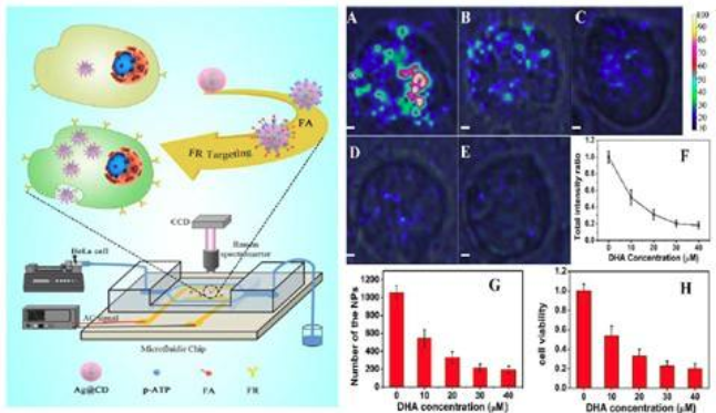 化學(xué)檢測-表面分析